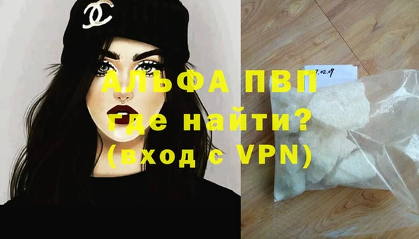 прущие грибы Вязники