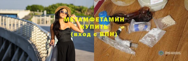 прущие грибы Вязники