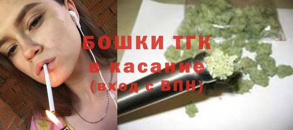 прущие грибы Вязники
