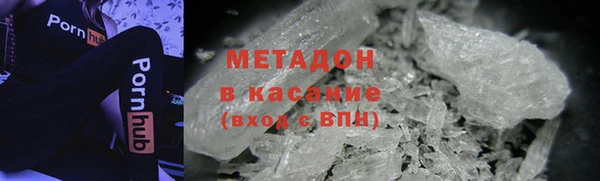 прущие грибы Вязники