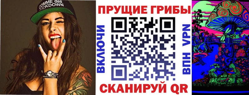 Псилоцибиновые грибы GOLDEN TEACHER что такое Гусь-Хрустальный